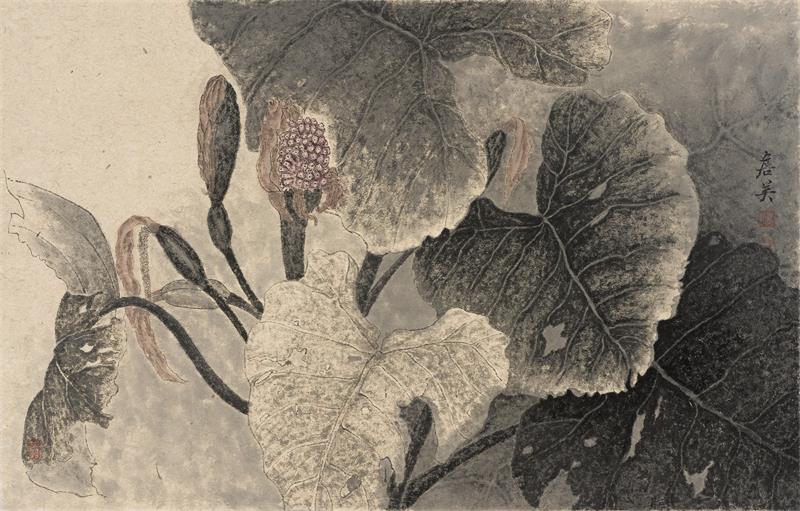 DSR_2286.JPG