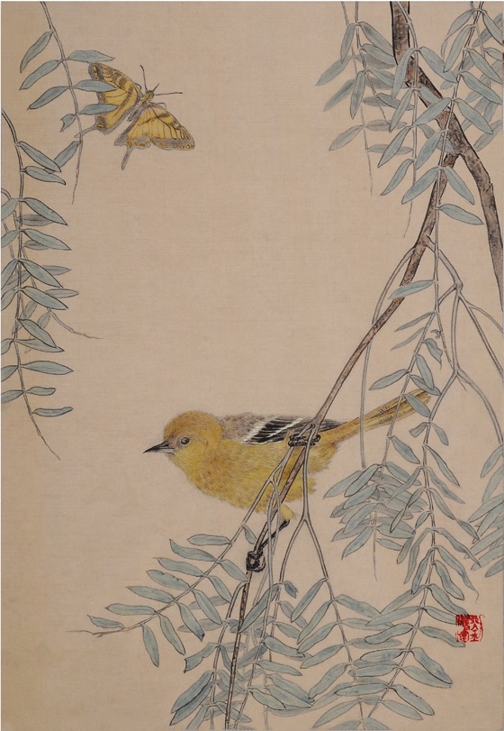 12.《黄鹂与蝴蝶》26cmx43cm绢本设色2009.jpg