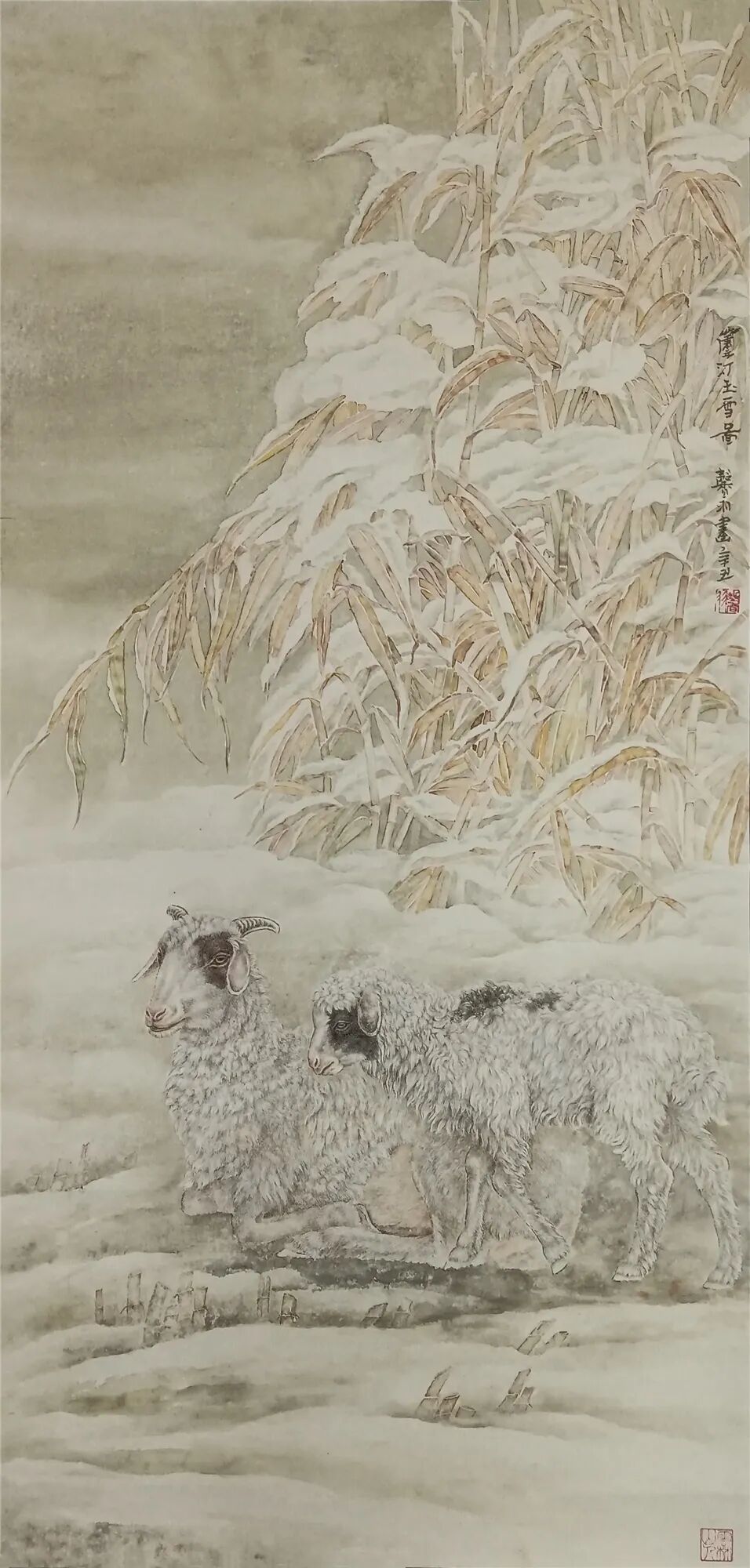 图片