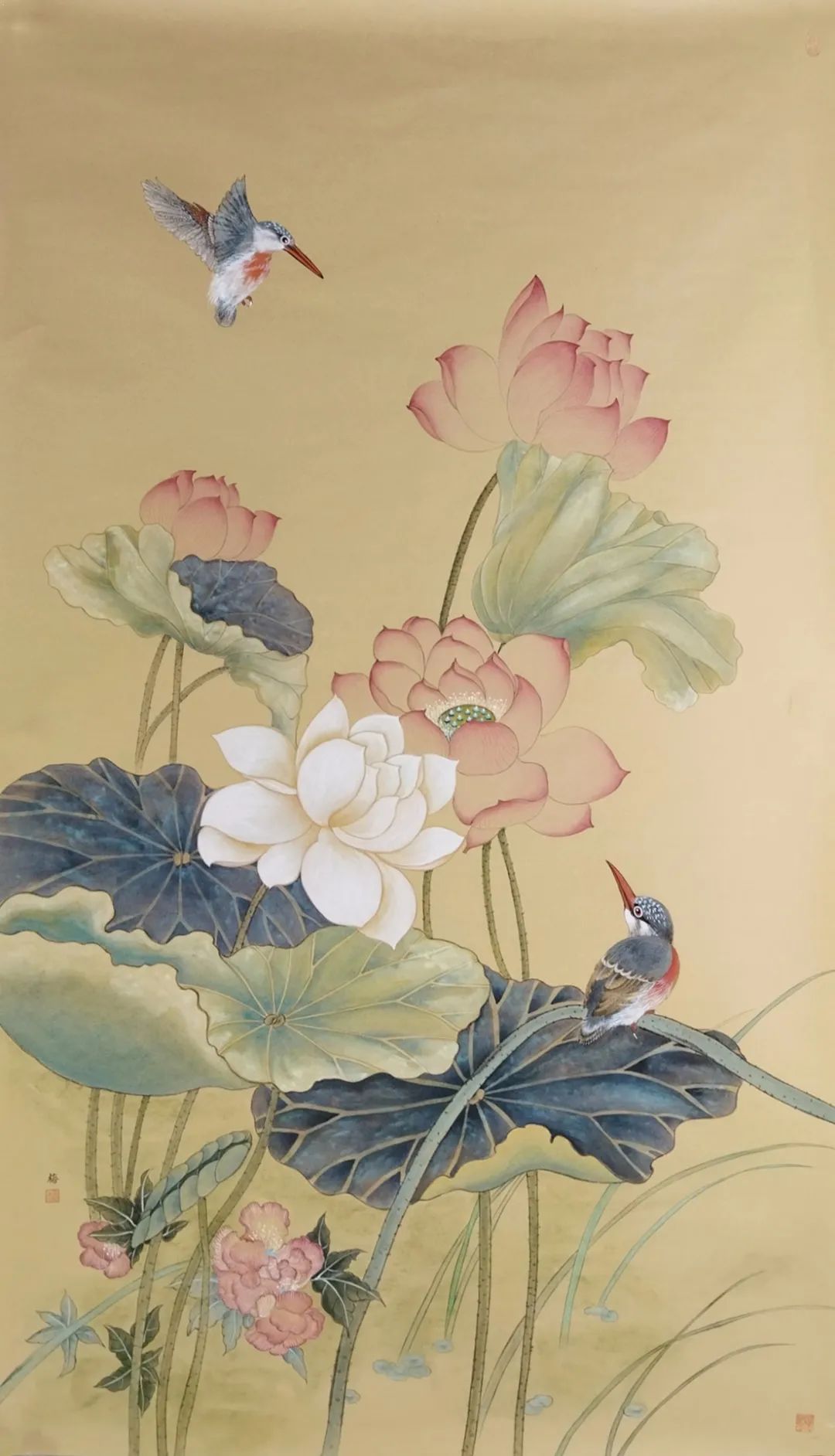 图片