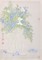 王晓派《花间清畅》48cmx34cm绢本设色2024年.jpg