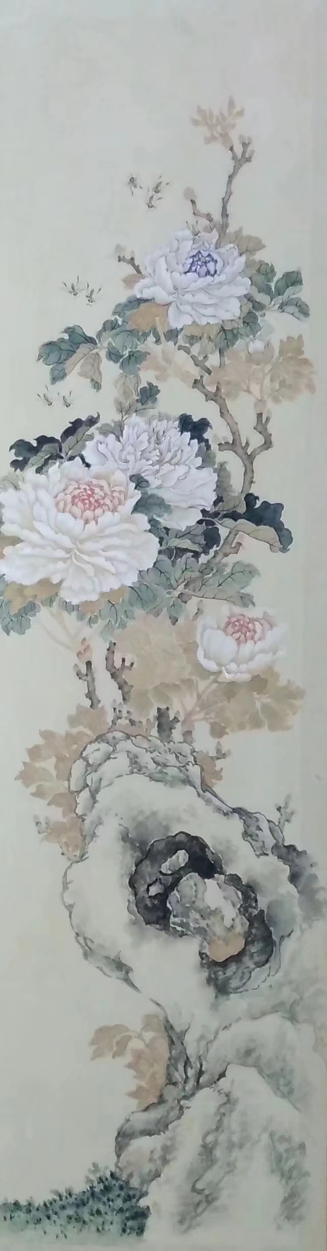 仿居廉笔意（没骨牡丹）.jpg