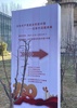 没有共产党就没有新中国——名家作品邀请展海报.jpg
