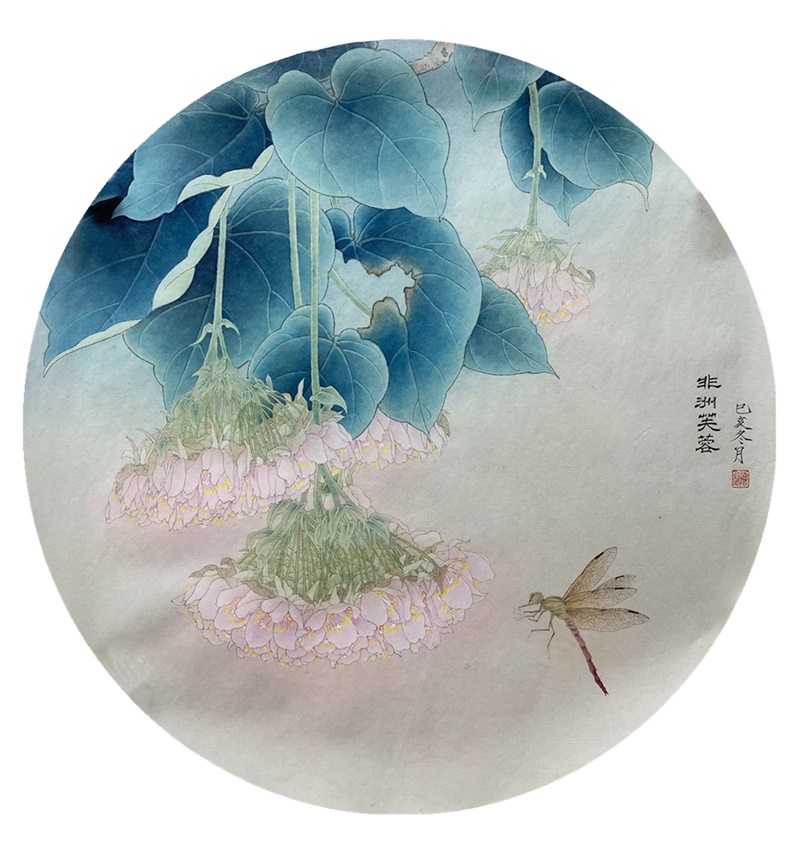 周凯《非洲芙蓉》46cmx46cm.jpg