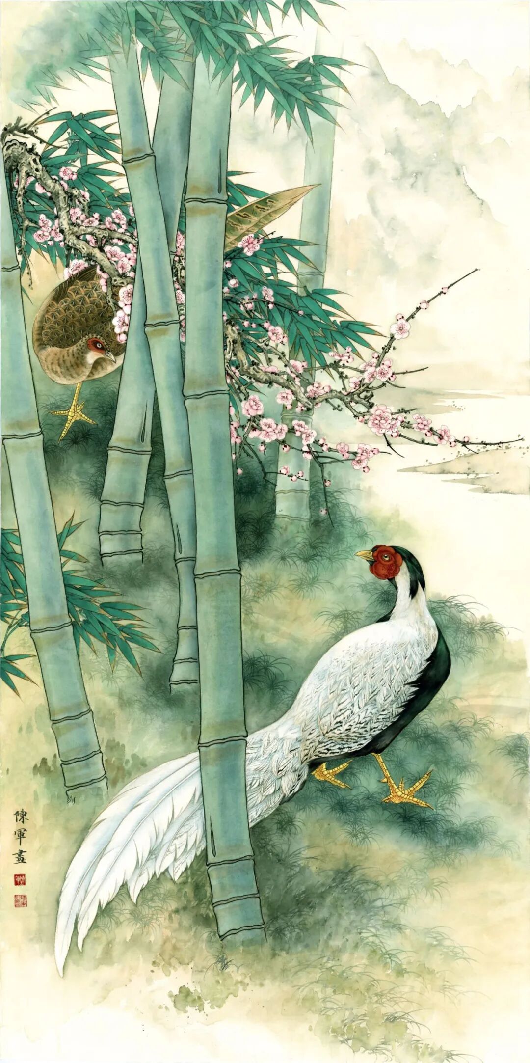 图片
