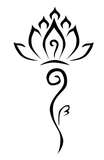 莲花.jpg