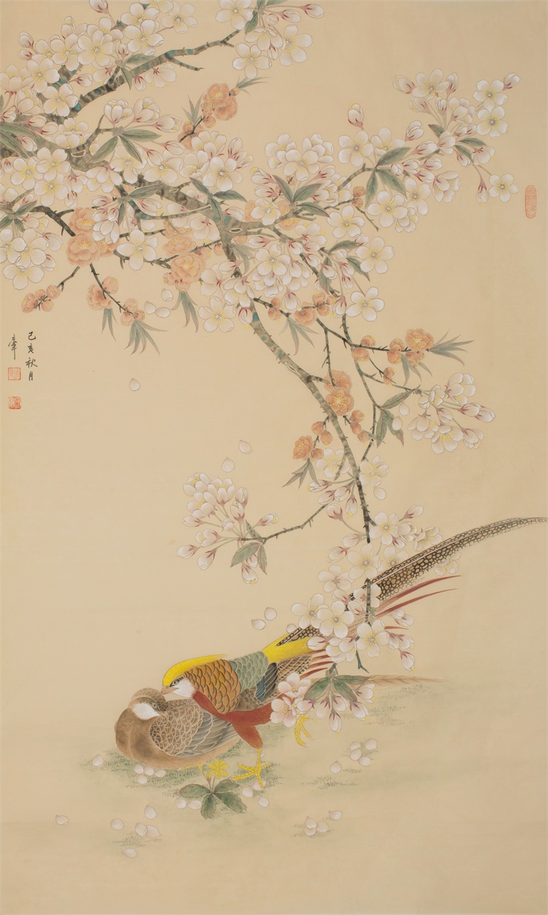 锦绣春华.jpg