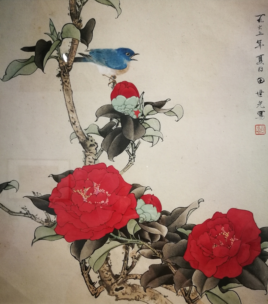 蓝鸟.jpg