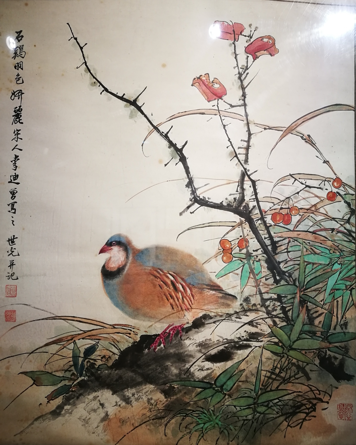 石鸡羽色.jpg