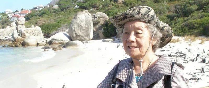 文章附图