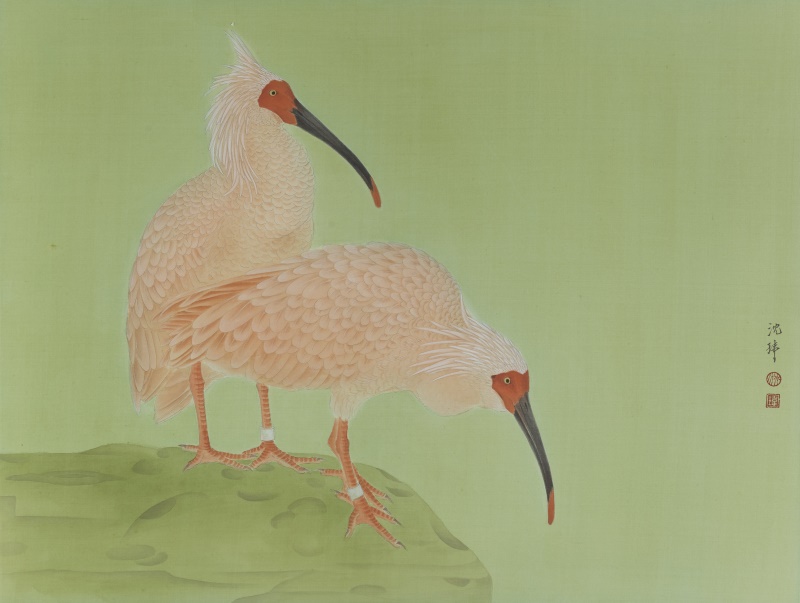 《朱鹮之秋》59cmx77.5cm 绢本矿物色 2017