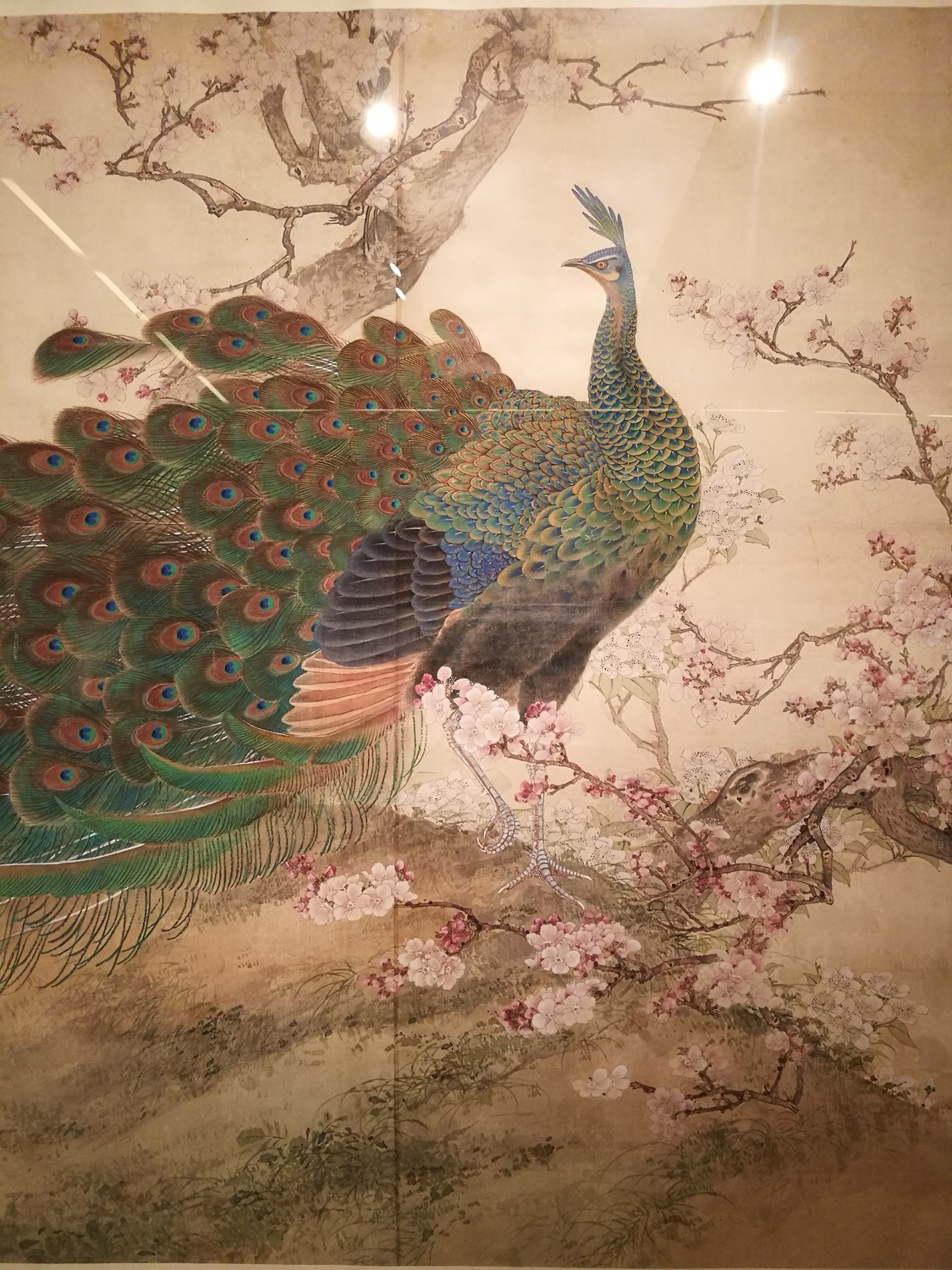 《爱与美的施予》田世光的花鸟艺术